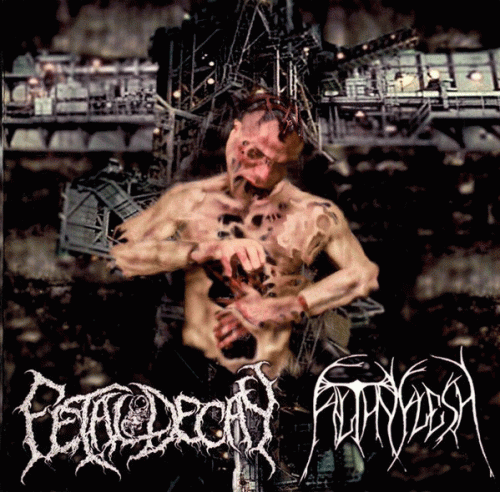 Filthy Flesh : Fetal Decay - Filthy Flesh